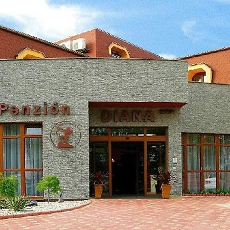 Hotel Diana 3*